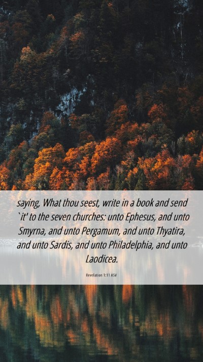 Picture 06 - Revelation 1:11 ASV Mobile Phone Wallpaper - saying, What thou seest, write in a book and send - Mobile Bible Verse Wallpaper