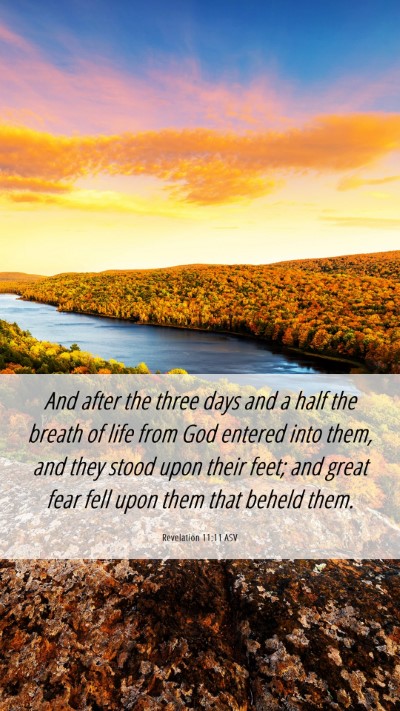 Picture 06 - Revelation 11:11 ASV Mobile Phone Wallpaper - And after the three days and a half the breath of - Mobile Bible Verse Wallpaper