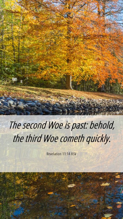 Picture 06 - Revelation 11:14 ASV Mobile Phone Wallpaper - The second Woe is past: behold, the third Woe - Mobile Bible Verse Wallpaper
