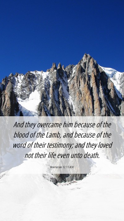 Picture 06 - Revelation 12:11 ASV Mobile Phone Wallpaper - And they overcame him because of the blood of the - Mobile Bible Verse Wallpaper
