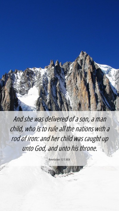 Picture 06 - Revelation 12:5 ASV Mobile Phone Wallpaper - And she was delivered of a son, a man child, who - Mobile Bible Verse Wallpaper