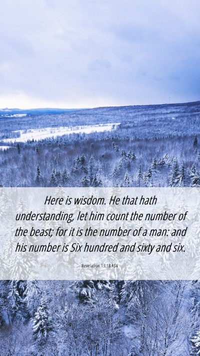 Picture 06 - Revelation 13:18 ASV Mobile Phone Wallpaper - Here is wisdom. He that hath understanding, let - Mobile Bible Verse Wallpaper