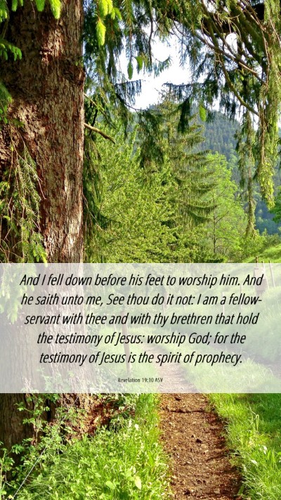 Picture 06 - Revelation 19:10 ASV Mobile Phone Wallpaper - And I fell down before his feet to worship him. - Mobile Bible Verse Wallpaper