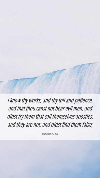 Picture 06 - Revelation 2:2 ASV Mobile Phone Wallpaper - I know thy works, and thy toil and patience, and - Mobile Bible Verse Wallpaper