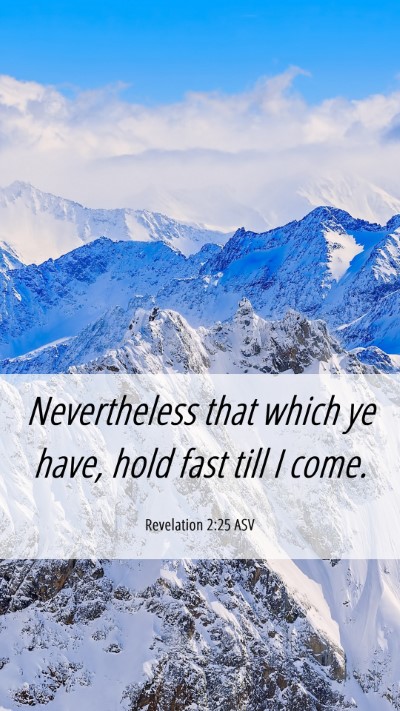 Picture 06 - Revelation 2:25 ASV Mobile Phone Wallpaper - Nevertheless that which ye have, hold fast till I - Mobile Bible Verse Wallpaper