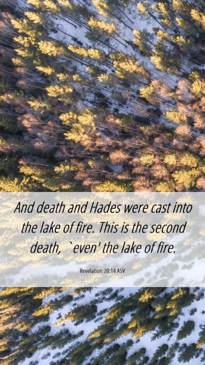 Picture 06 - Revelation 20:14 ASV Mobile Phone Wallpaper - And death and Hades were cast into the lake of - Mobile Bible Verse Wallpaper