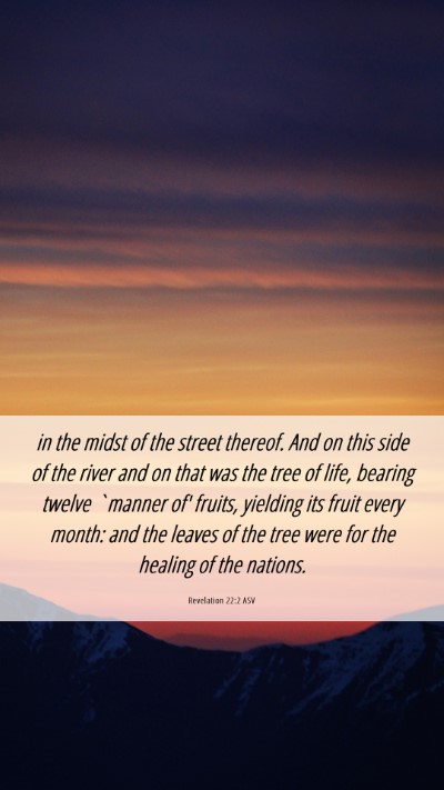 Picture 06 - Revelation 22:2 ASV Mobile Phone Wallpaper - in the midst of the street thereof. And on this - Mobile Bible Verse Wallpaper