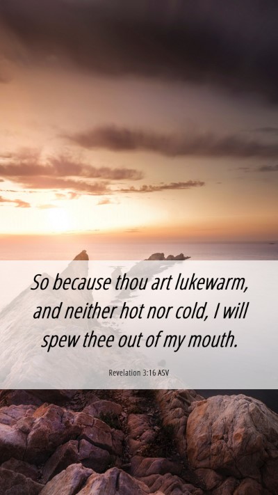 Picture 06 - Revelation 3:16 ASV Mobile Phone Wallpaper - So because thou art lukewarm, and neither hot nor - Mobile Bible Verse Wallpaper