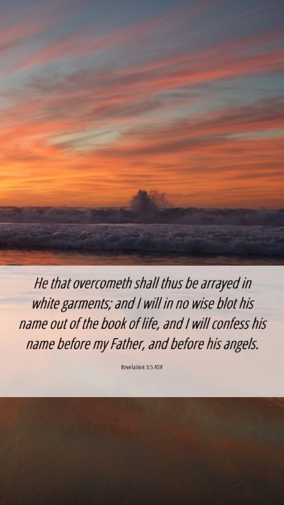 Picture 06 - Revelation 3:5 ASV Mobile Phone Wallpaper - He that overcometh shall thus be arrayed in white - Mobile Bible Verse Wallpaper