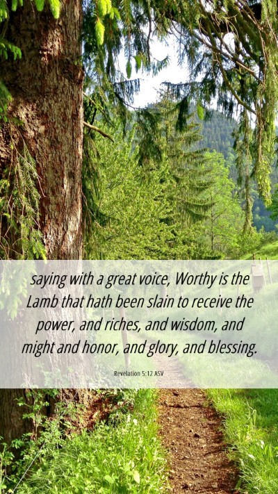 Picture 06 - Revelation 5:12 ASV Mobile Phone Wallpaper - saying with a great voice, Worthy is the Lamb - Mobile Bible Verse Wallpaper