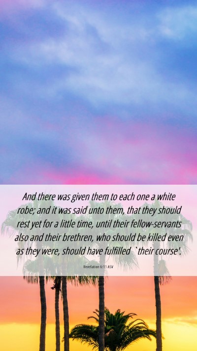 Picture 06 - Revelation 6:11 ASV Mobile Phone Wallpaper - And there was given them to each one a white - Mobile Bible Verse Wallpaper
