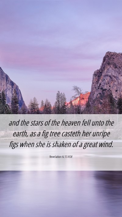 Picture 06 - Revelation 6:13 ASV Mobile Phone Wallpaper - and the stars of the heaven fell unto the earth, - Mobile Bible Verse Wallpaper