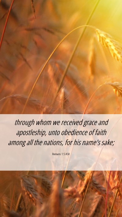 Picture 06 - Romans 1:5 ASV Mobile Phone Wallpaper - through whom we received grace and apostleship, - Mobile Bible Verse Wallpaper