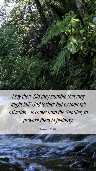 Picture 06 - Romans 11:11 ASV Mobile Phone Wallpaper - I say then, Did they stumble that they might - Mobile Bible Verse Wallpaper