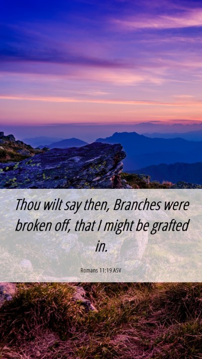 Picture 06 - Romans 11:19 ASV Mobile Phone Wallpaper - Thou wilt say then, Branches were broken off, - Mobile Bible Verse Wallpaper