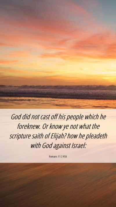 Picture 06 - Romans 11:2 ASV Mobile Phone Wallpaper - God did not cast off his people which he - Mobile Bible Verse Wallpaper