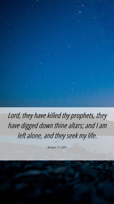 Picture 06 - Romans 11:3 ASV Mobile Phone Wallpaper - Lord, they have killed thy prophets, they have - Mobile Bible Verse Wallpaper