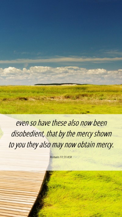 Picture 06 - Romans 11:31 ASV Mobile Phone Wallpaper - even so have these also now been disobedient, - Mobile Bible Verse Wallpaper