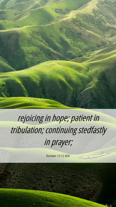 Picture 06 - Romans 12:12 ASV Mobile Phone Wallpaper - rejoicing in hope; patient in tribulation; - Mobile Bible Verse Wallpaper