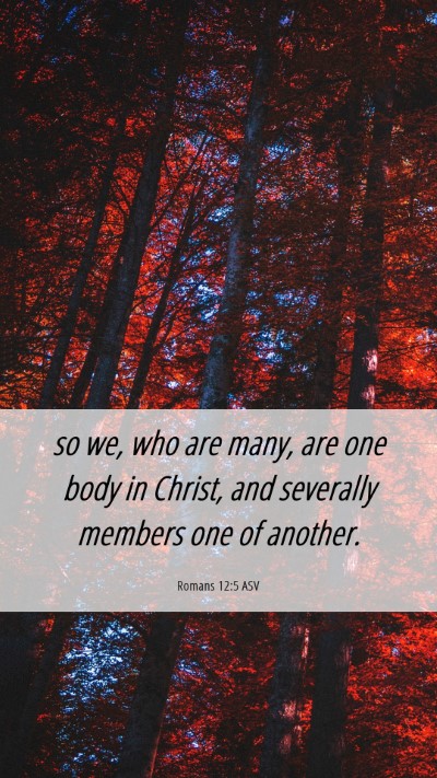 Picture 06 - Romans 12:5 ASV Mobile Phone Wallpaper - so we, who are many, are one body in Christ, and - Mobile Bible Verse Wallpaper
