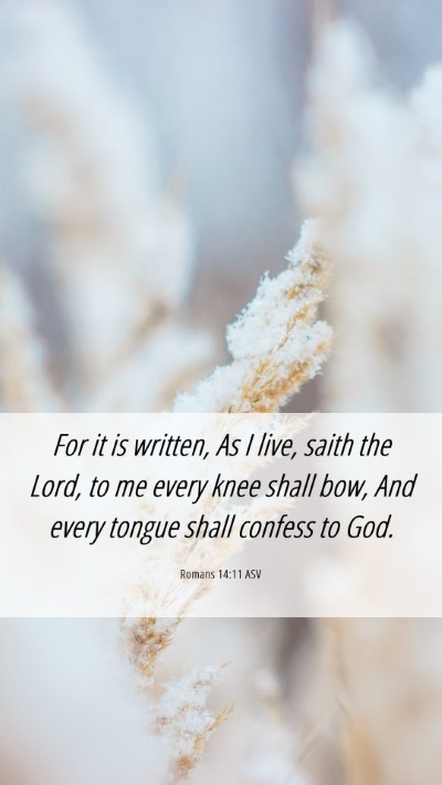 Picture 06 - Romans 14:11 ASV Mobile Phone Wallpaper - For it is written, As I live, saith the Lord, to - Mobile Bible Verse Wallpaper