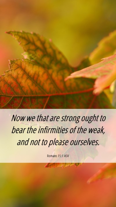 Picture 06 - Romans 15:1 ASV Mobile Phone Wallpaper - Now we that are strong ought to bear the - Mobile Bible Verse Wallpaper