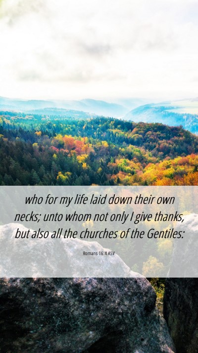 Picture 06 - Romans 16:4 ASV Mobile Phone Wallpaper - who for my life laid down their own necks; unto - Mobile Bible Verse Wallpaper