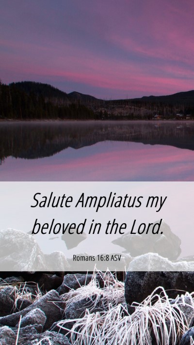 Picture 06 - Romans 16:8 ASV Mobile Phone Wallpaper - Salute Ampliatus my beloved in the - Mobile Bible Verse Wallpaper