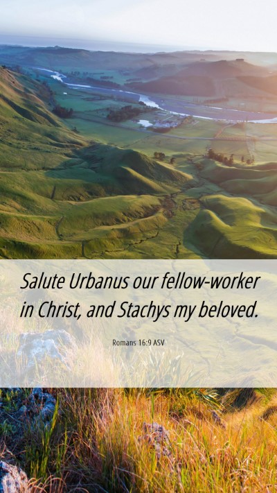 Picture 06 - Romans 16:9 ASV Mobile Phone Wallpaper - Salute Urbanus our fellow-worker in Christ, and - Mobile Bible Verse Wallpaper