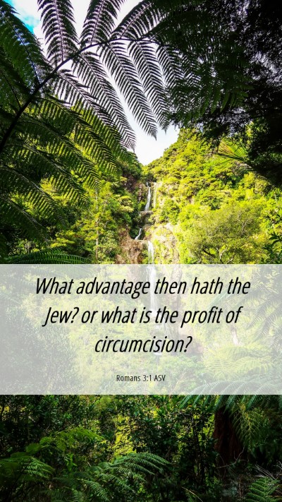 Picture 06 - Romans 3:1 ASV Mobile Phone Wallpaper - What advantage then hath the Jew? or what is the - Mobile Bible Verse Wallpaper