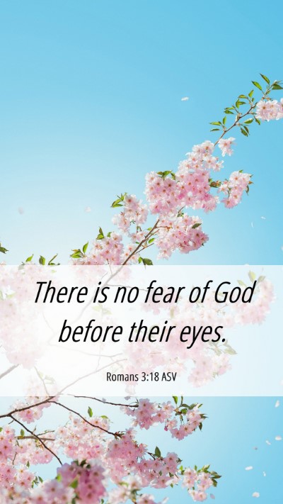 Picture 06 - Romans 3:18 ASV Mobile Phone Wallpaper - There is no fear of God before their - Mobile Bible Verse Wallpaper
