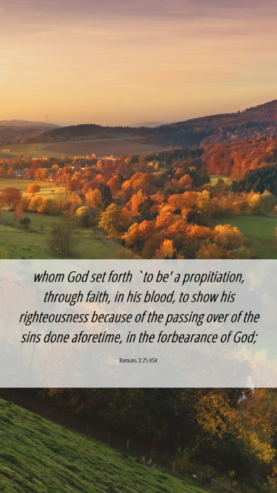 Picture 06 - Romans 3:25 ASV Mobile Phone Wallpaper - whom God set forth `to be' a propitiation, - Mobile Bible Verse Wallpaper