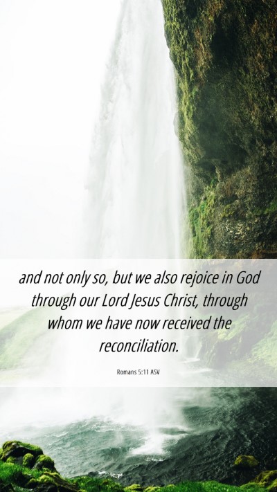 Picture 06 - Romans 5:11 ASV Mobile Phone Wallpaper - and not only so, but we also rejoice in God - Mobile Bible Verse Wallpaper