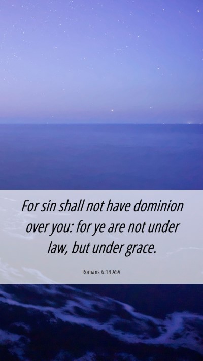 Picture 06 - Romans 6:14 ASV Mobile Phone Wallpaper - For sin shall not have dominion over you: for ye - Mobile Bible Verse Wallpaper
