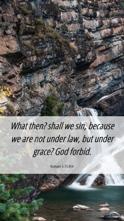Picture 06 - Romans 6:15 ASV Mobile Phone Wallpaper - What then? shall we sin, because we are not under - Mobile Bible Verse Wallpaper