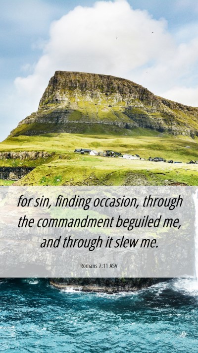 Picture 06 - Romans 7:11 ASV Mobile Phone Wallpaper - for sin, finding occasion, through the - Mobile Bible Verse Wallpaper