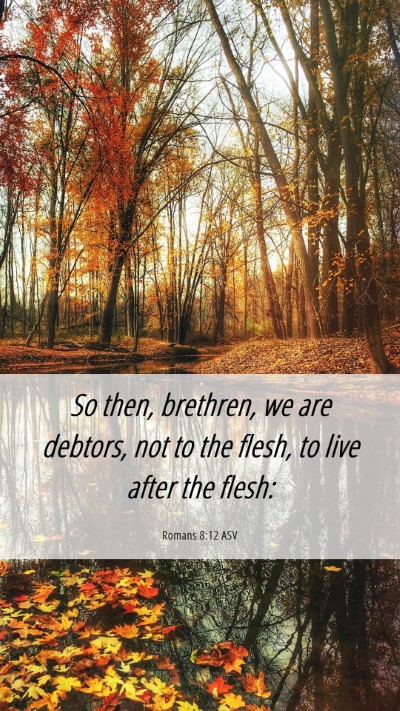 Picture 06 - Romans 8:12 ASV Mobile Phone Wallpaper - So then, brethren, we are debtors, not to the - Mobile Bible Verse Wallpaper