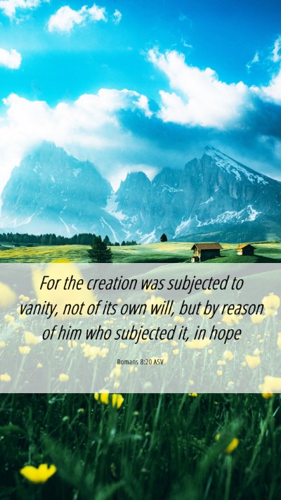 Picture 06 - Romans 8:20 ASV Mobile Phone Wallpaper - For the creation was subjected to vanity, not of - Mobile Bible Verse Wallpaper