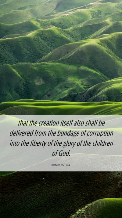 Picture 06 - Romans 8:21 ASV Mobile Phone Wallpaper - that the creation itself also shall be delivered - Mobile Bible Verse Wallpaper