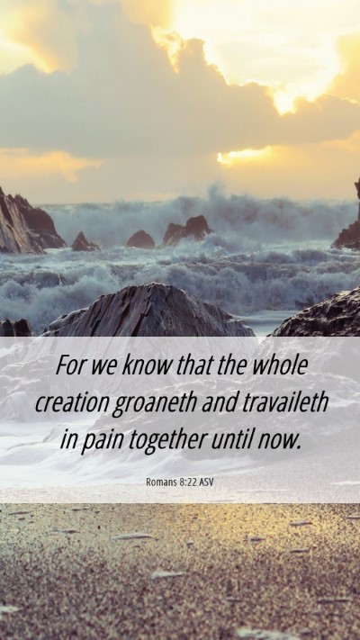 Picture 06 - Romans 8:22 ASV Mobile Phone Wallpaper - For we know that the whole creation groaneth and - Mobile Bible Verse Wallpaper