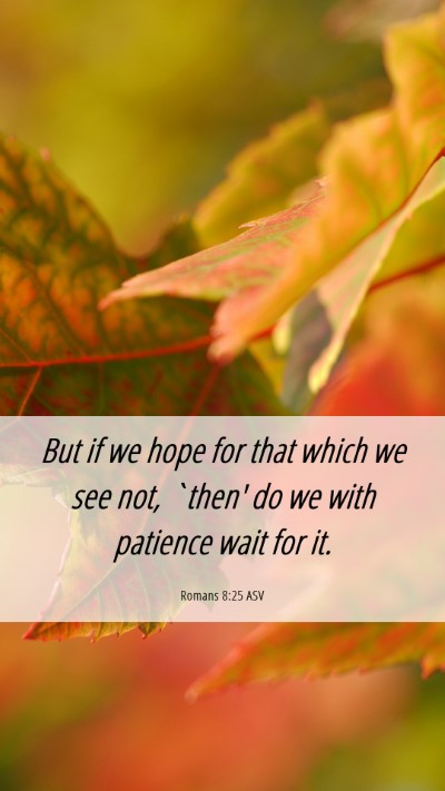 Picture 06 - Romans 8:25 ASV Mobile Phone Wallpaper - But if we hope for that which we see not, `then' - Mobile Bible Verse Wallpaper