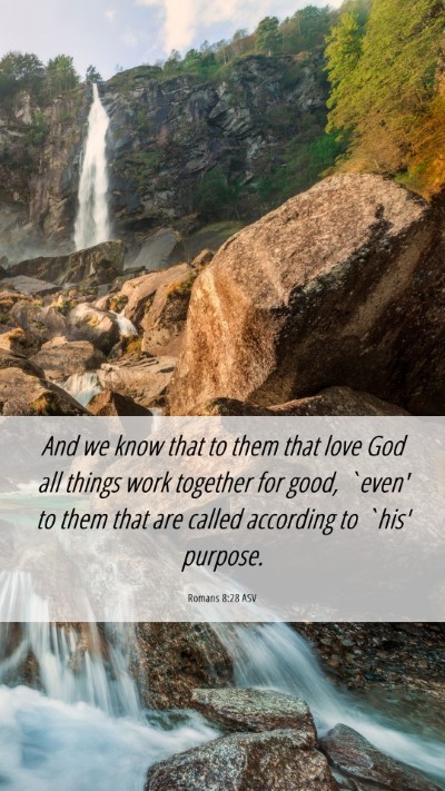 Picture 06 - Romans 8:28 ASV Mobile Phone Wallpaper - And we know that to them that love God all things - Mobile Bible Verse Wallpaper