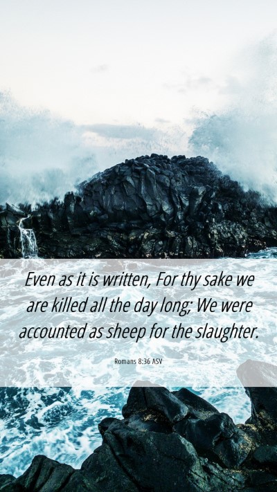Picture 06 - Romans 8:36 ASV Mobile Phone Wallpaper - Even as it is written, For thy sake we are killed - Mobile Bible Verse Wallpaper