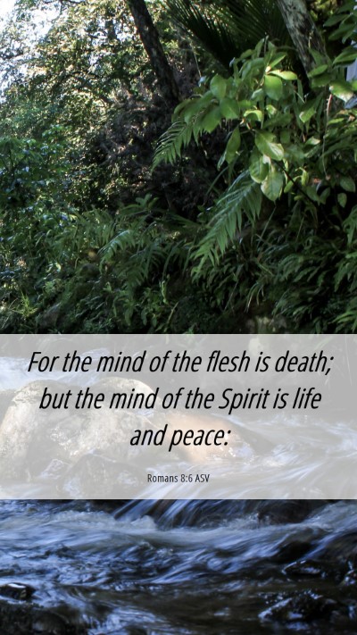 Picture 06 - Romans 8:6 ASV Mobile Phone Wallpaper - For the mind of the flesh is death; but the mind - Mobile Bible Verse Wallpaper