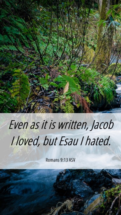 Picture 06 - Romans 9:13 ASV Mobile Phone Wallpaper - Even as it is written, Jacob I loved, but Esau I - Mobile Bible Verse Wallpaper