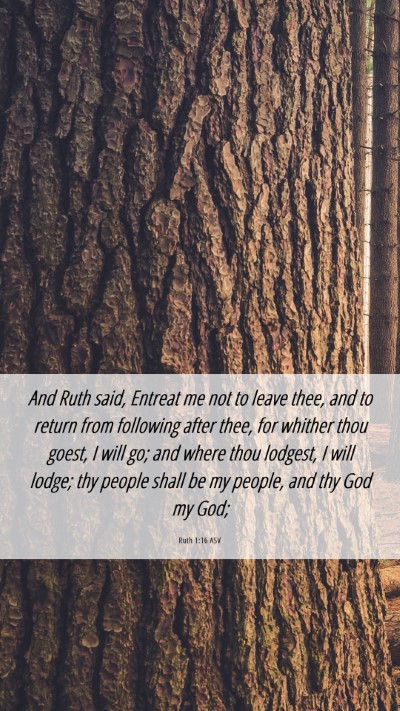 Picture 06 - Ruth 1:16 ASV Mobile Phone Wallpaper - And Ruth said, Entreat me not to leave thee, and - Mobile Bible Verse Wallpaper