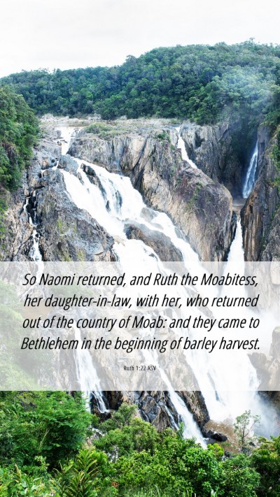 Picture 06 - Ruth 1:22 ASV Mobile Phone Wallpaper - So Naomi returned, and Ruth the Moabitess, her - Mobile Bible Verse Wallpaper