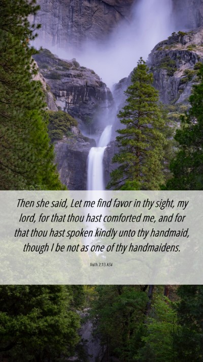 Picture 06 - Ruth 2:13 ASV Mobile Phone Wallpaper - Then she said, Let me find favor in thy sight, my - Mobile Bible Verse Wallpaper