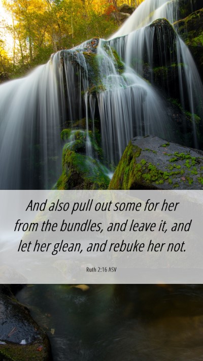 Picture 06 - Ruth 2:16 ASV Mobile Phone Wallpaper - And also pull out some for her from the bundles, - Mobile Bible Verse Wallpaper