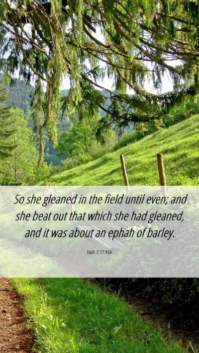 Picture 06 - Ruth 2:17 ASV Mobile Phone Wallpaper - So she gleaned in the field until even; and she - Mobile Bible Verse Wallpaper